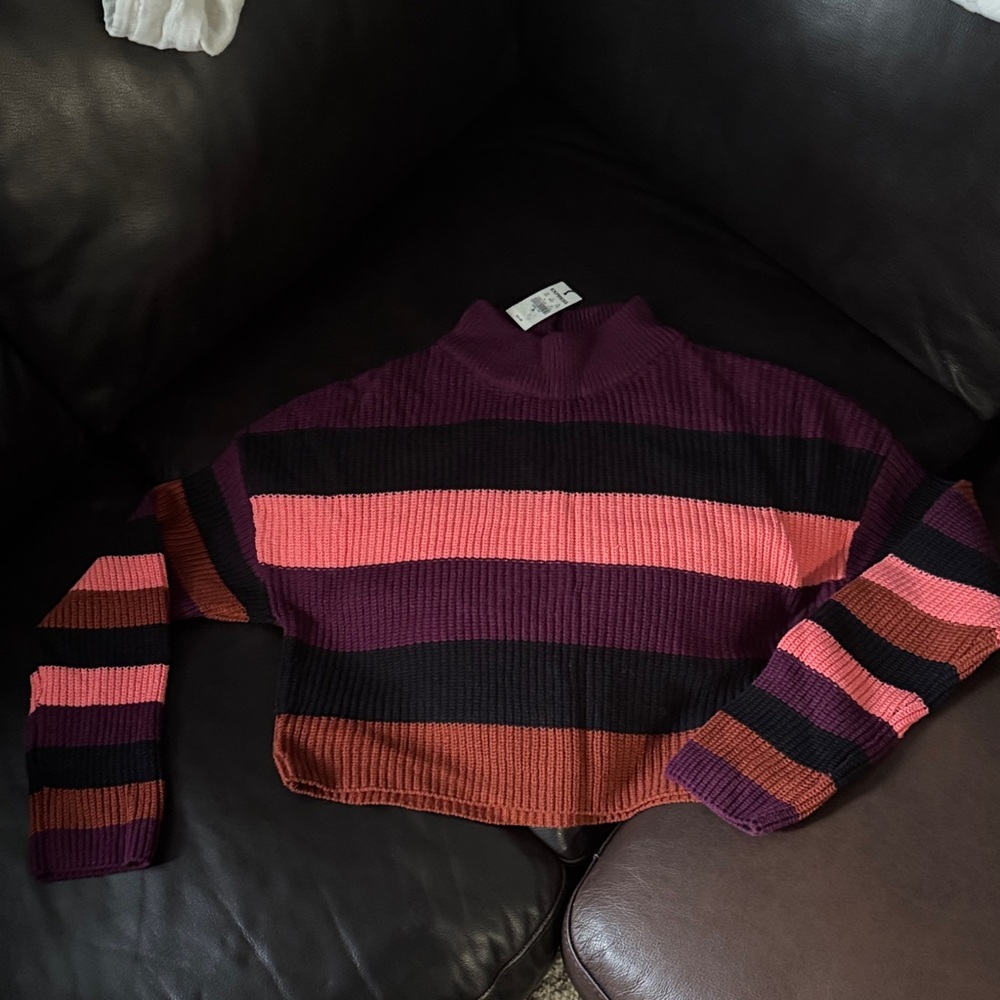 Express Stripped Knit Sweater